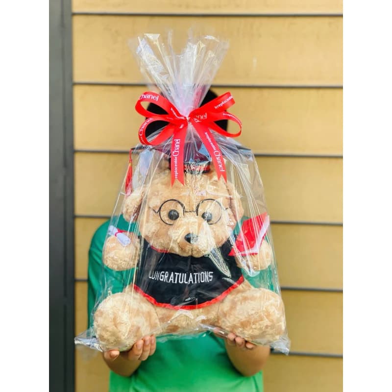 Gấu Bông Tốt Nghiệp Lông Mịn size 20cm