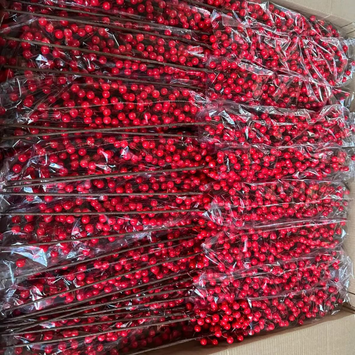 Cành Đông Đào 12 Nhánh