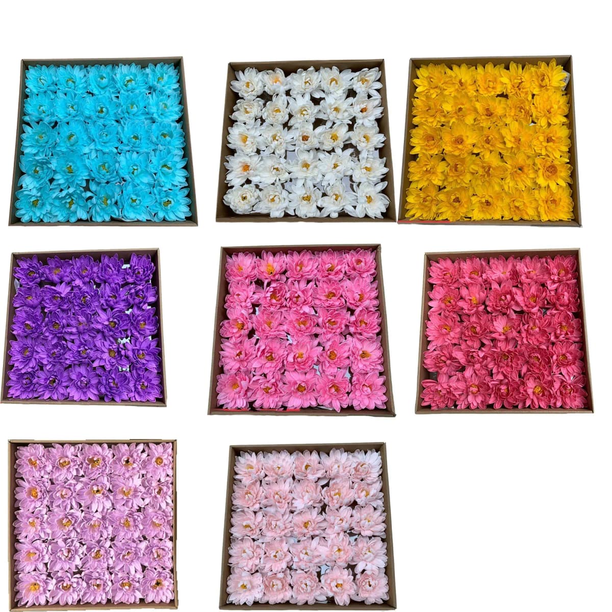 Đầu Bông Hoa Cúc Dalia Cao Cấp ( Hộp 25 Bông)