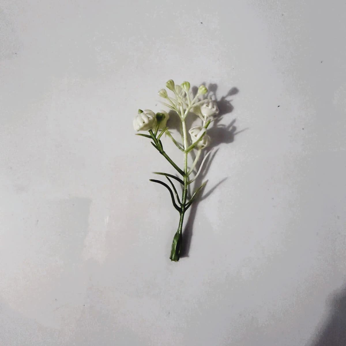 Cành Baby Nụ Rời Cao Cấp (0.5kg)