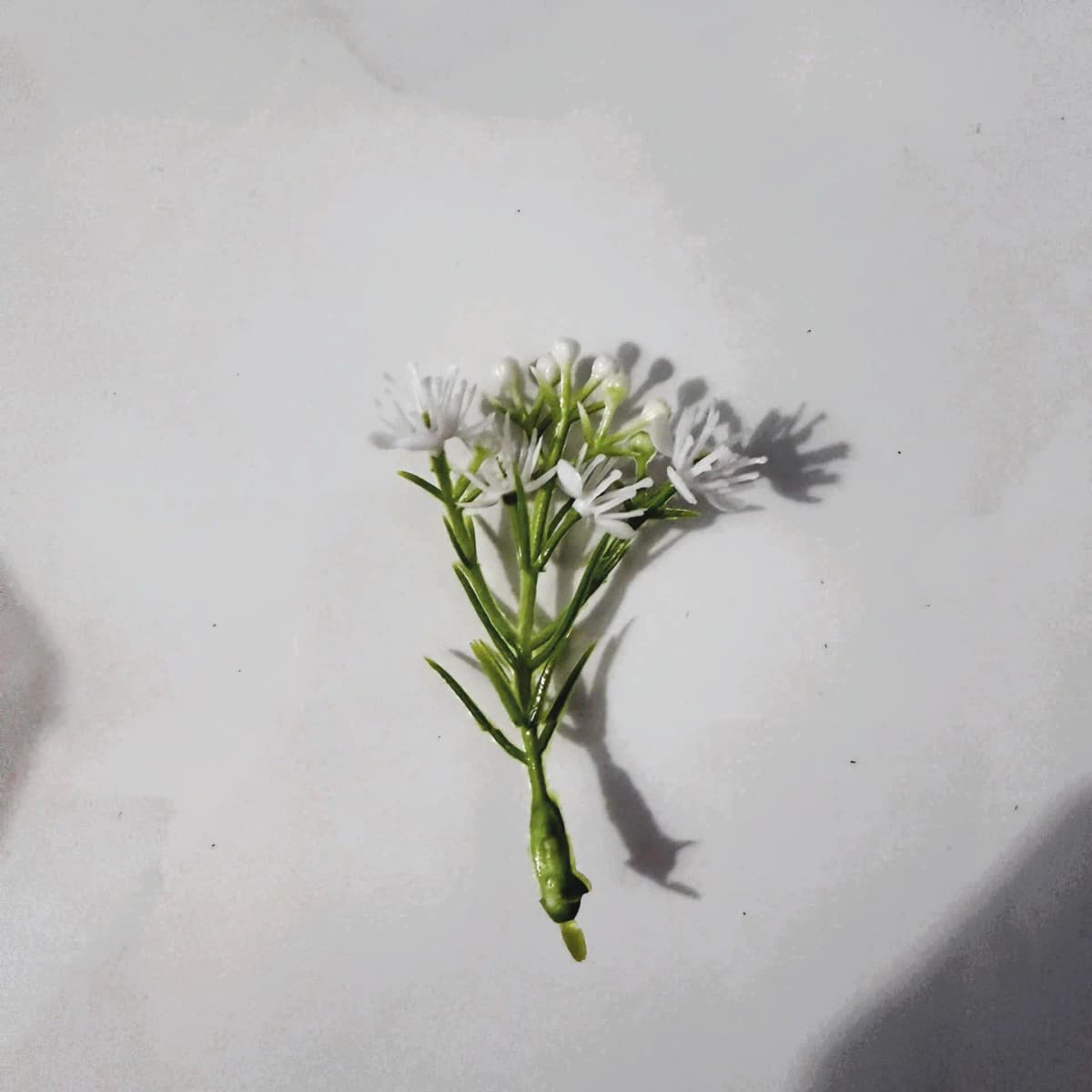 Cành Baby Nở Rời Cao Cấp (0.5kg)