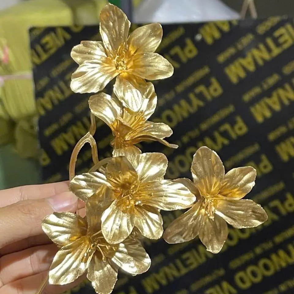 Hoa Mai Nhũ Đồng (Túi 0.5kg)