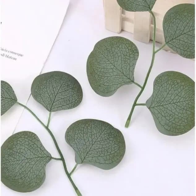 Lá Táo Tai Voi (Bịch 0.5kg)