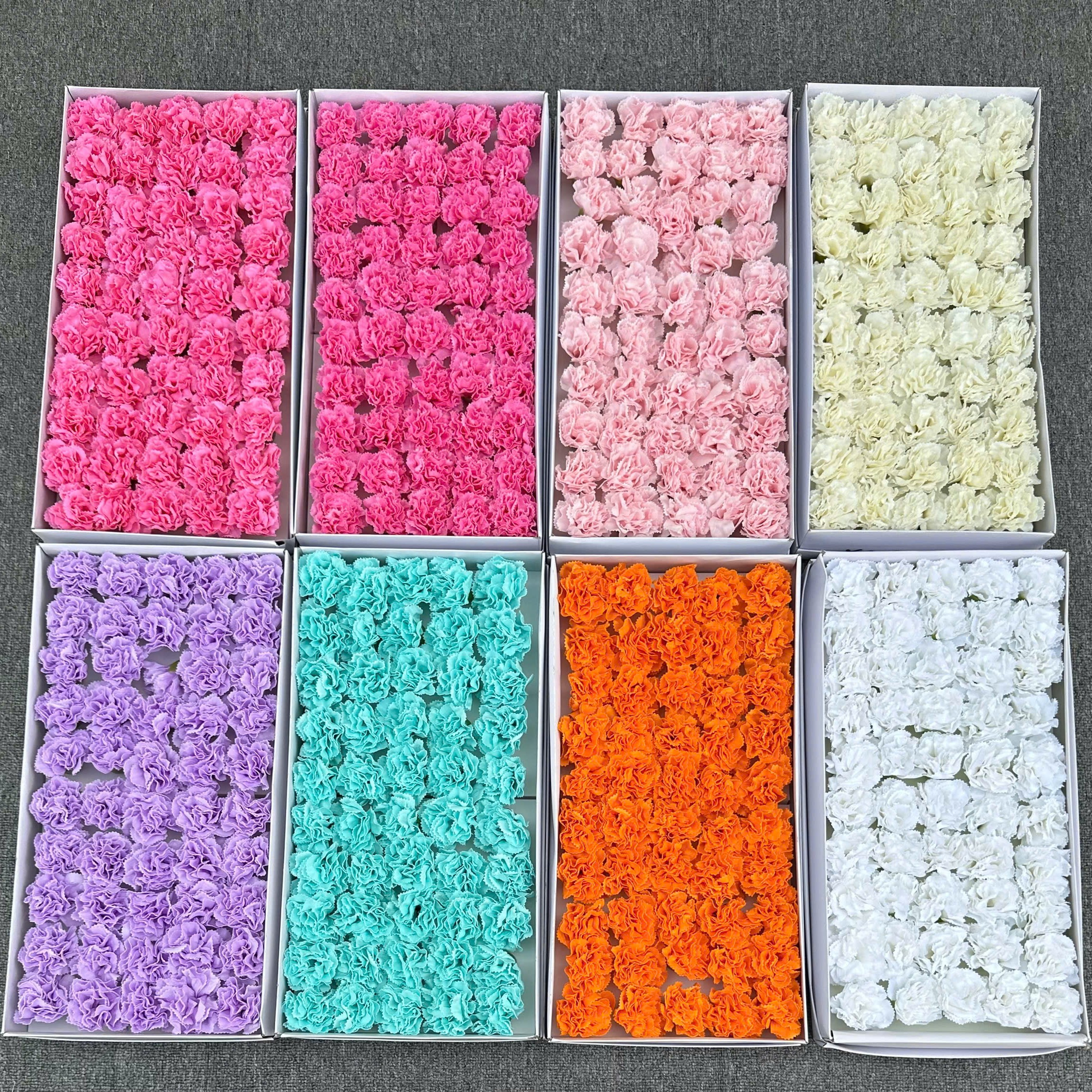 Đầu Bông Cẩm Chướng Kép